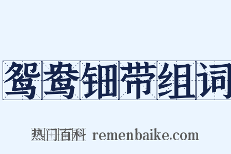 鸳鸯钿带组词是什么意思的图片